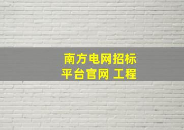 南方电网招标平台官网 工程